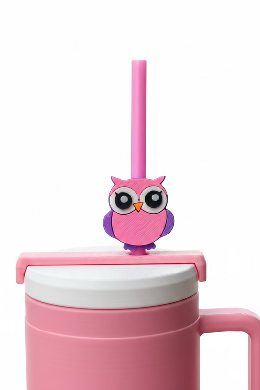 Cute Owl Topper